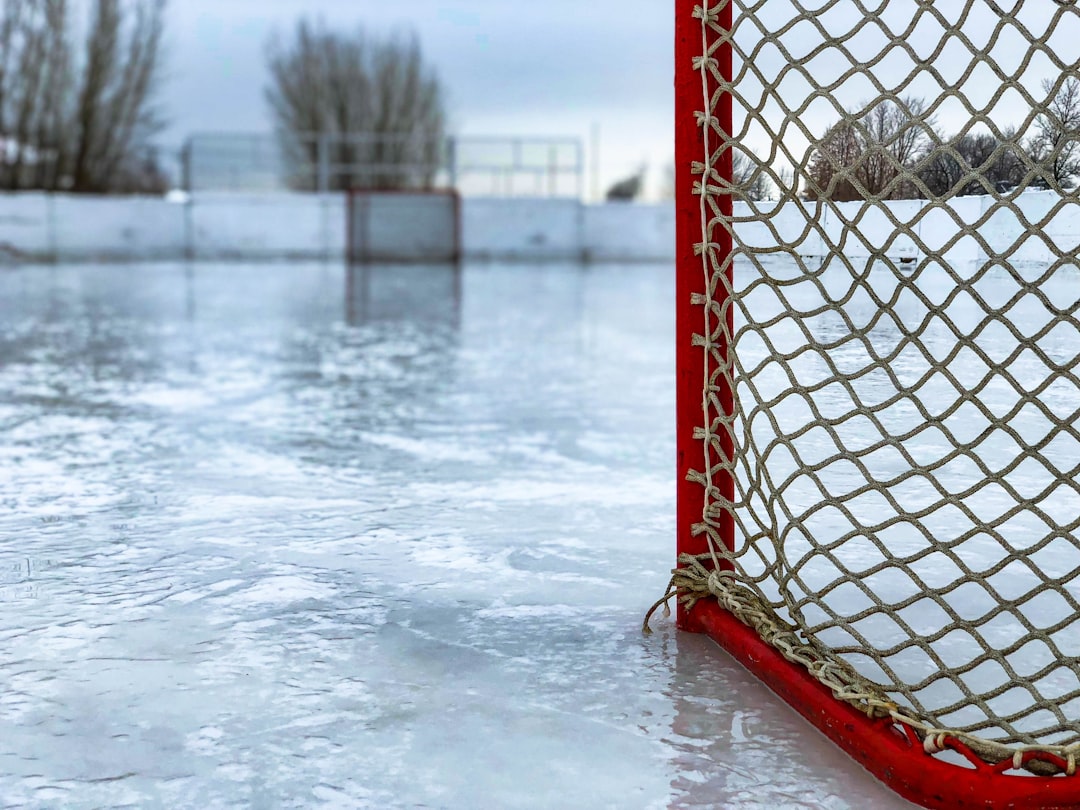 Photo Hockey stick